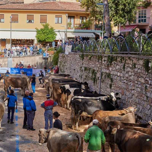 Festa della montagna 2025